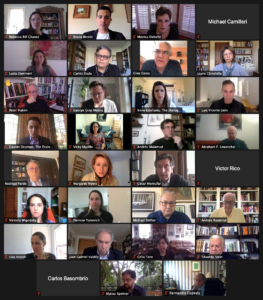 Grupo de Trabajo en reunión por Zoom